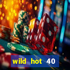 wild hot 40 christmas slot