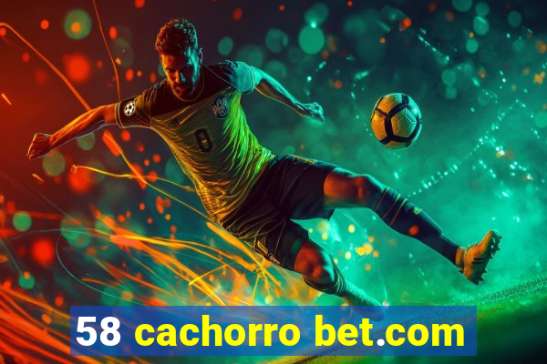 58 cachorro bet.com