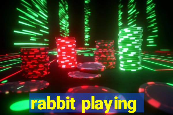 rabbit playing