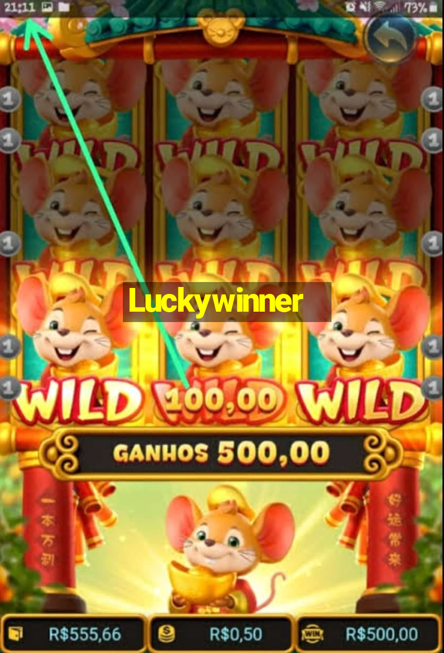 Luckywinner