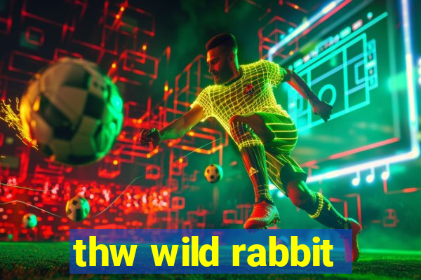 thw wild rabbit