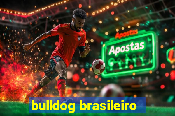 bulldog brasileiro