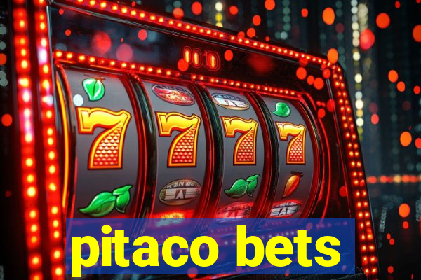 pitaco bets