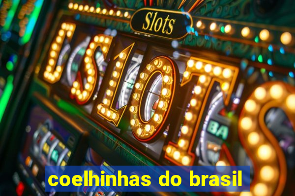 coelhinhas do brasil