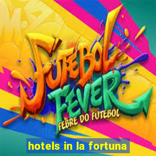 hotels in la fortuna