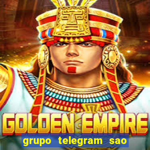 grupo telegram sao jose do rio preto