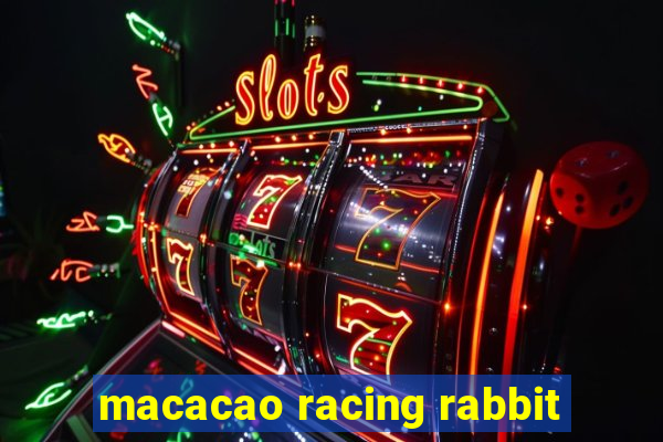 macacao racing rabbit