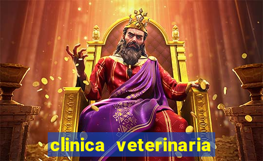 clinica veterinaria cuidar betim