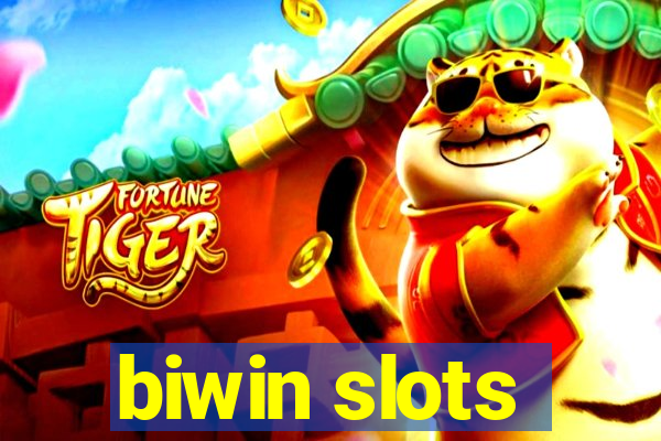 biwin slots