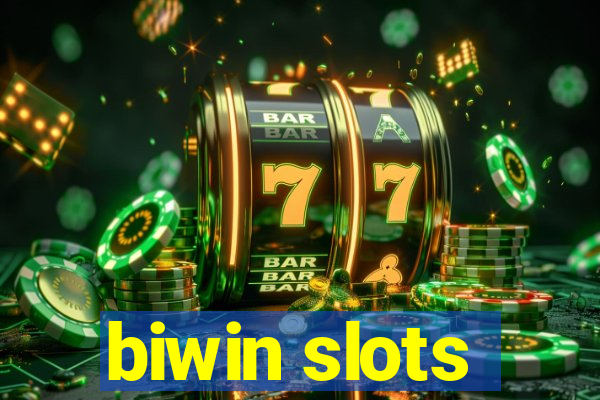 biwin slots