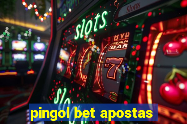 pingol bet apostas