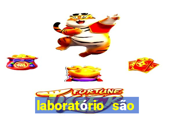 laboratório são marcos guaíra