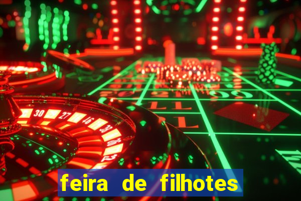 feira de filhotes porto alegre