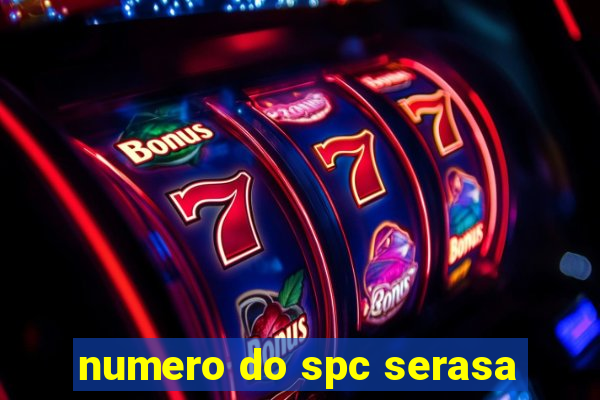 numero do spc serasa