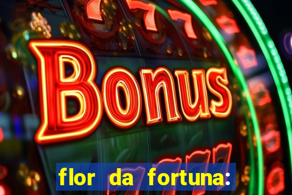 flor da fortuna: como cuidar