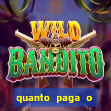 quanto paga o jungle fight