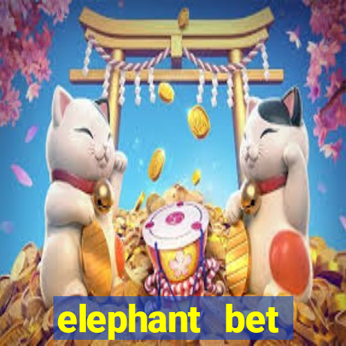 elephant bet angofoot apostas desportivas