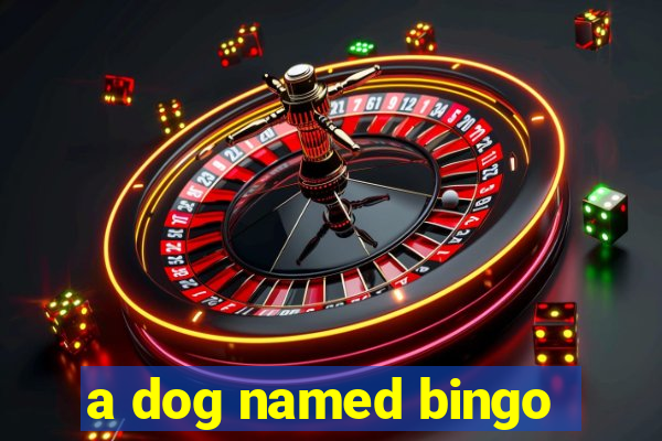 a dog named bingo