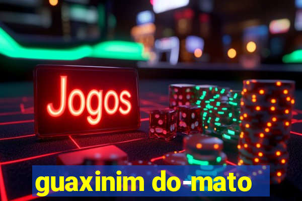 guaxinim do-mato