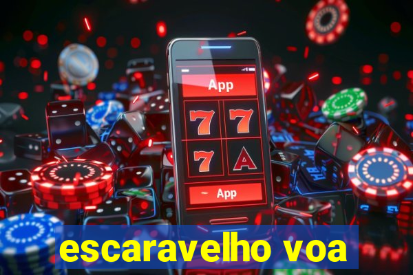 escaravelho voa