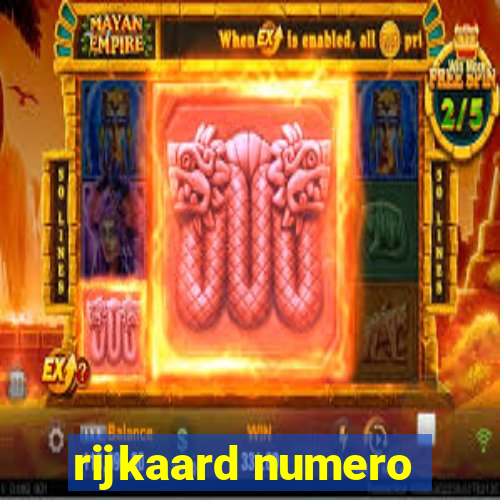 rijkaard numero