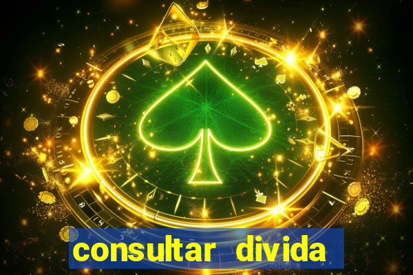 consultar divida casas bahia