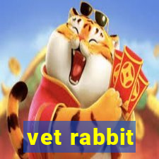 vet rabbit