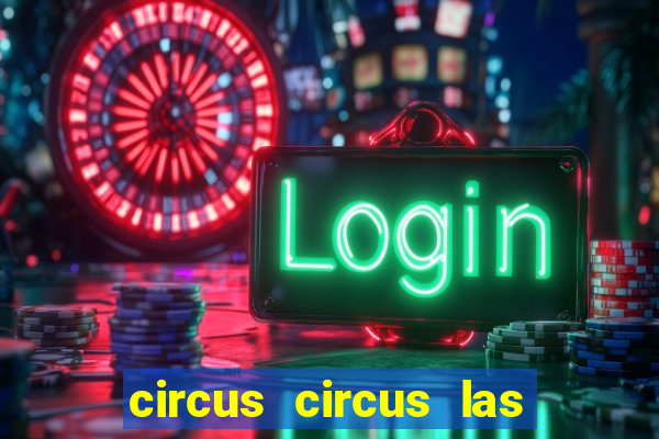 circus circus las vegas hotel & casino