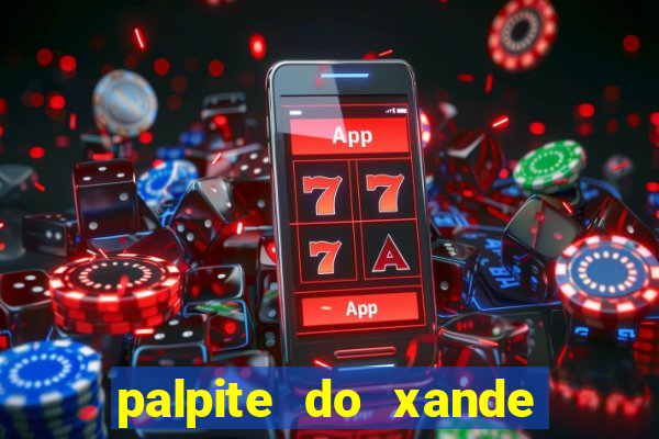 palpite do xande para hoje