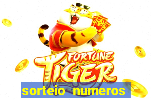 sorteio numeros bingo online