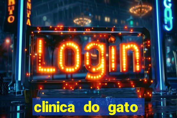 clinica do gato porto alegre