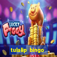 tulalip bingo casino review