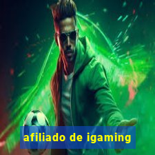 afiliado de igaming