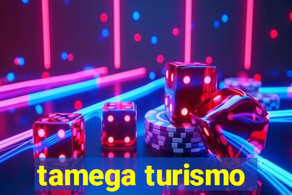 tamega turismo