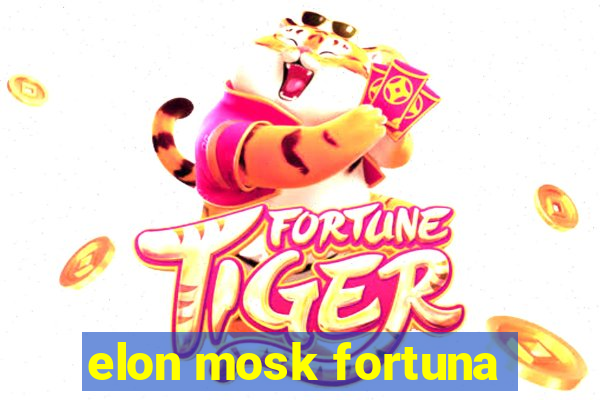 elon mosk fortuna