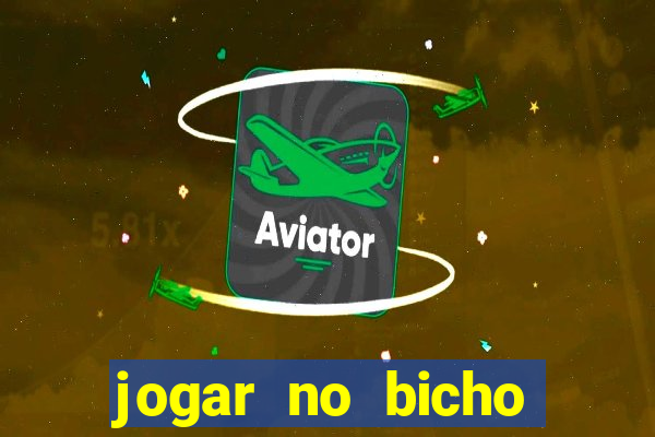 jogar no bicho online é seguro