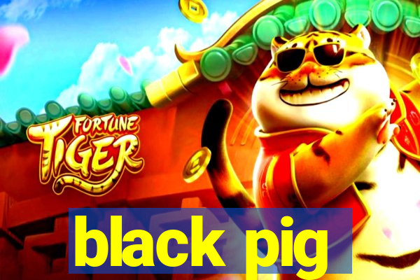 black pig