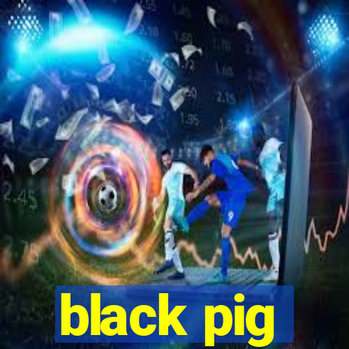 black pig