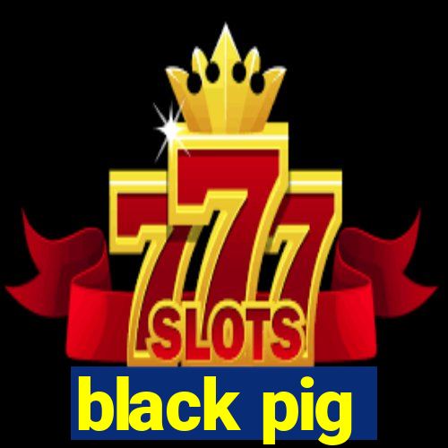 black pig