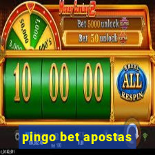 pingo bet apostas