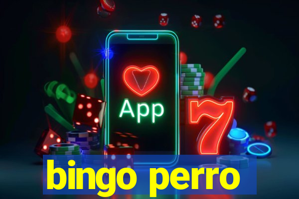 bingo perro