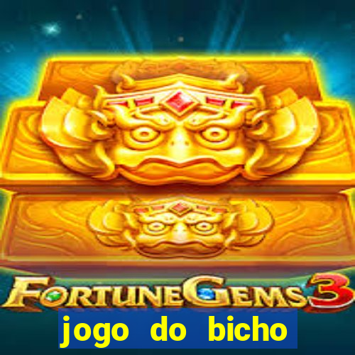 jogo do bicho crash bingo