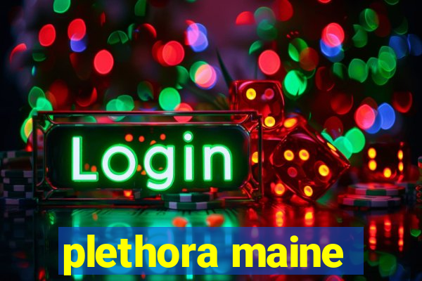 plethora maine