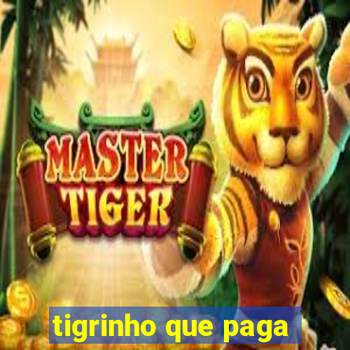 tigrinho que paga