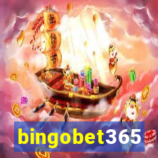 bingobet365