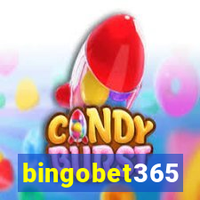 bingobet365