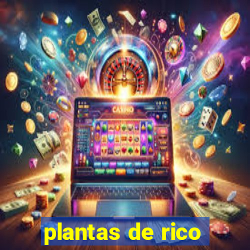 plantas de rico