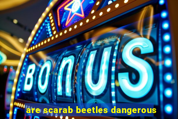 are scarab beetles dangerous