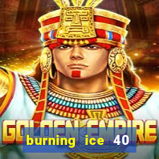 burning ice 40 slot online