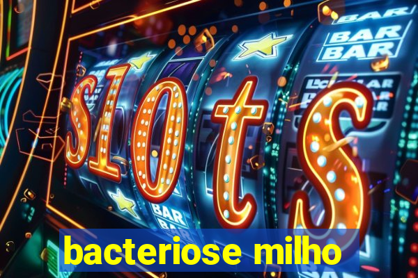 bacteriose milho